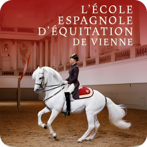 ECOLE EQUITATION